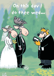 My Dream Wedding